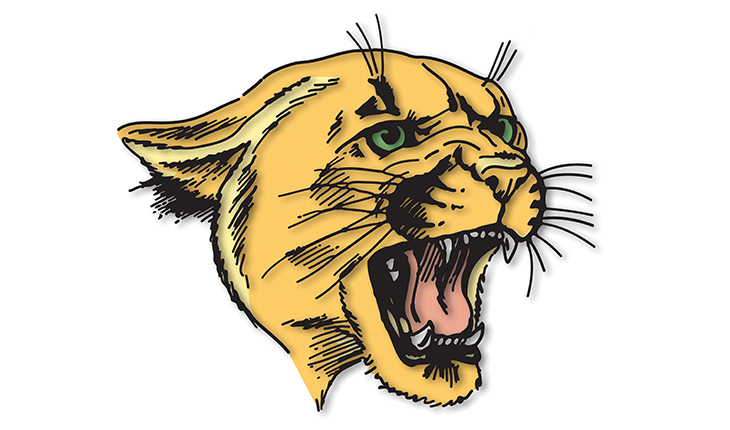 Cougars Drop Home Opener To Delaware Technical CC