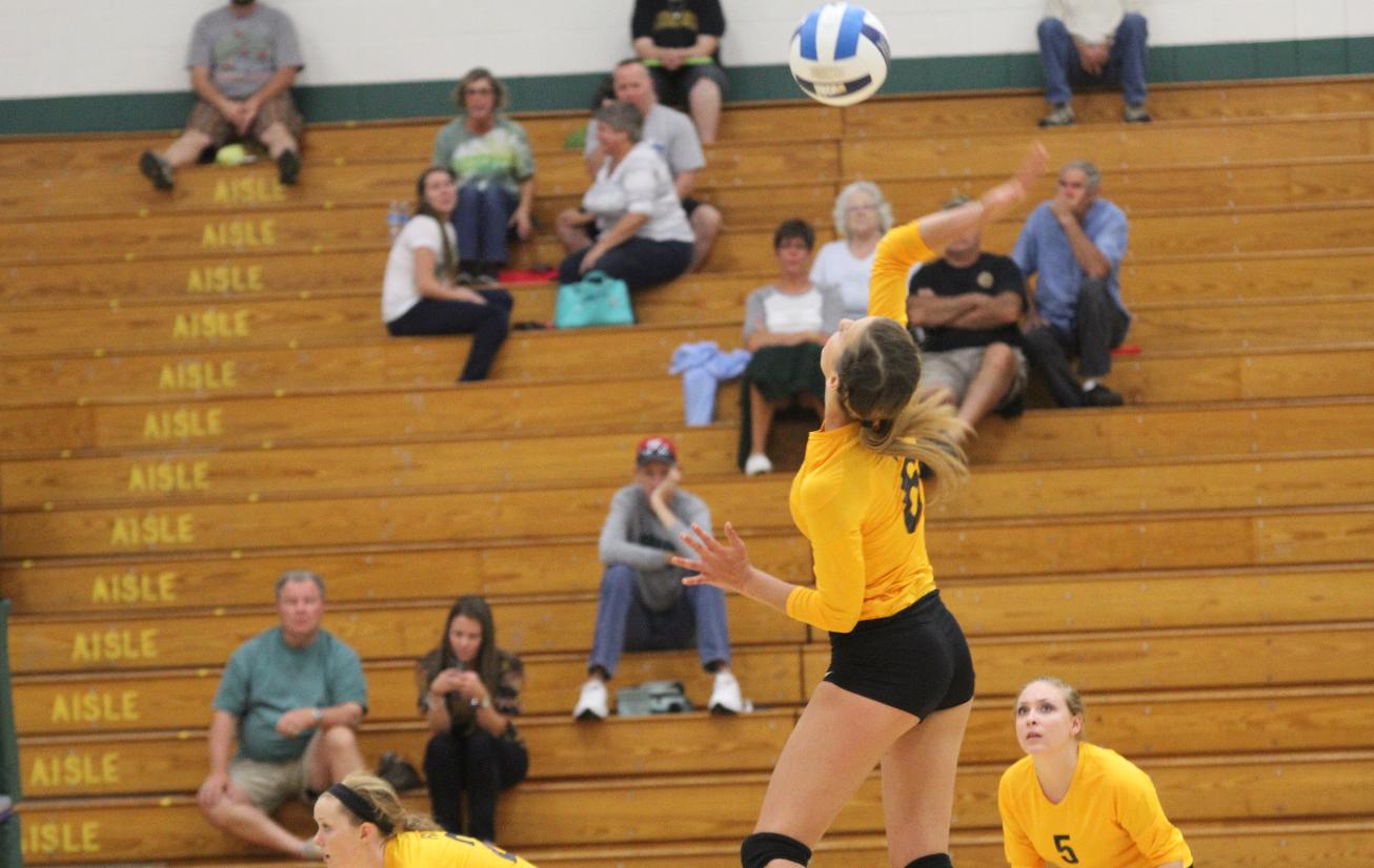 No. 18 Volleyball Sweeps Harford