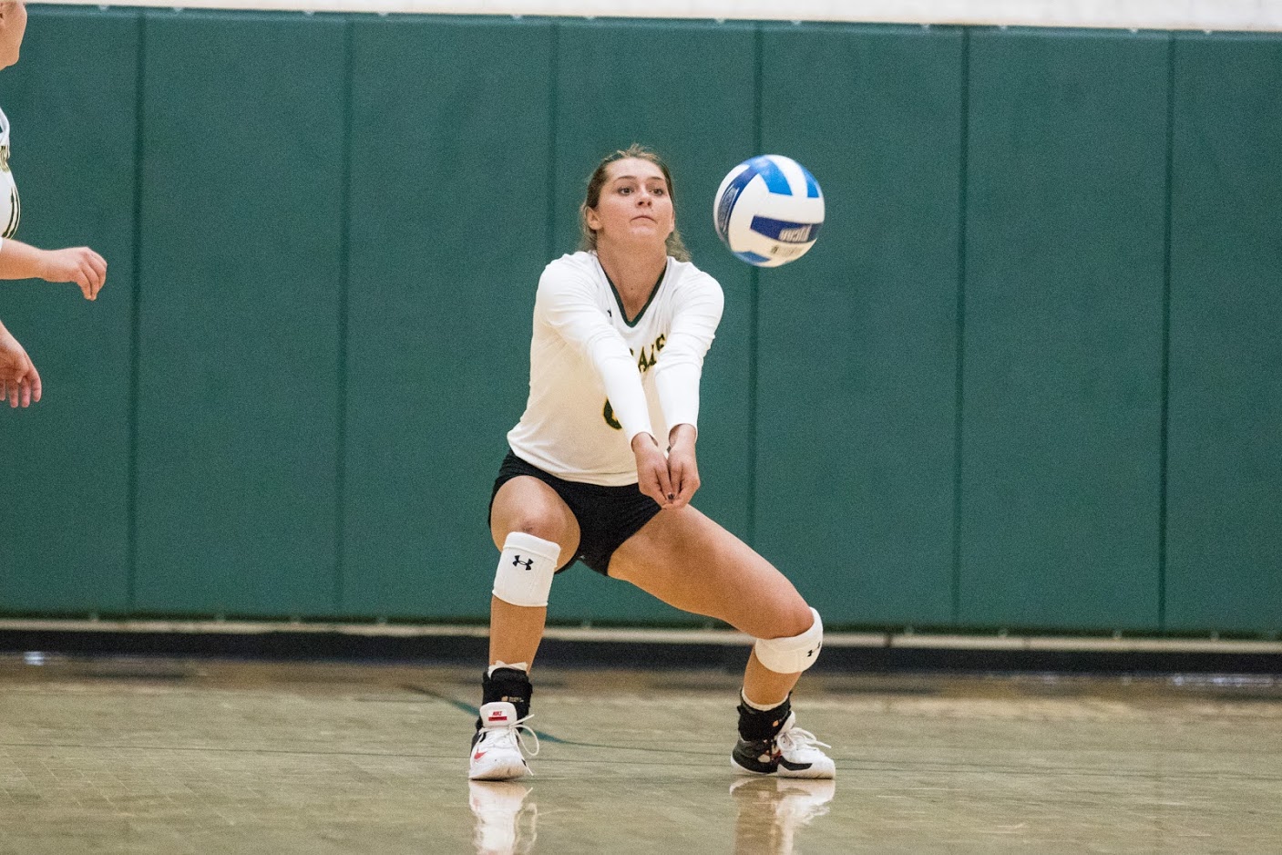 Volleyball Postseason Awards Announced