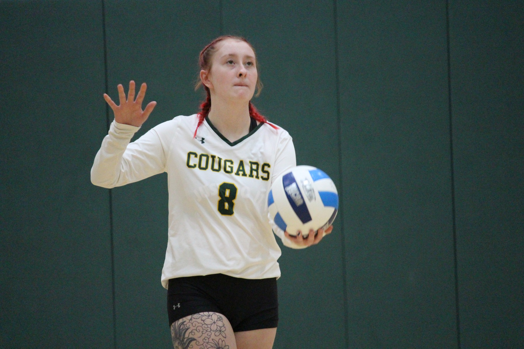 Winning streak continues for FCC volleyball