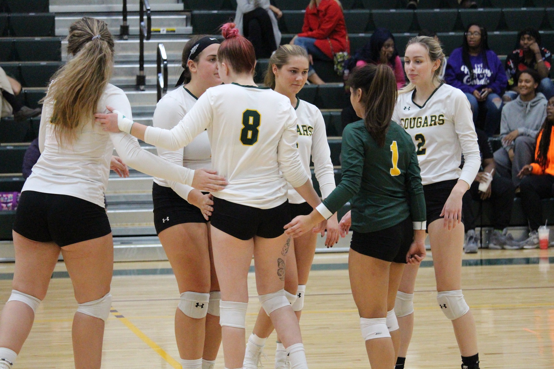 Jacobson Shines For FCC As Volleyball Sweeps CCBC Essex